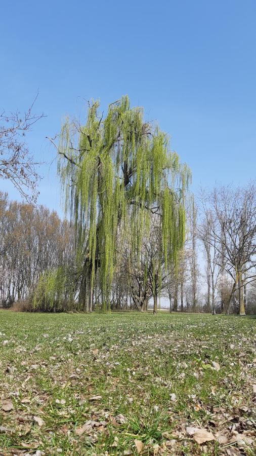 La Locanda Nel Frutteto Rovereto sulla Secchia Extérieur photo